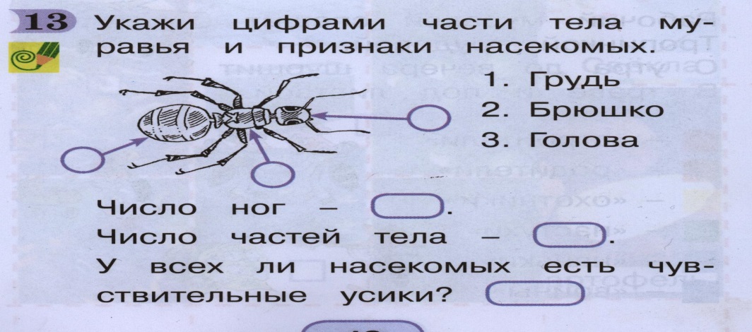 Конспект урока по русскому языку во 2 классе Орфограммы корня (в соответствии с требованиями ФГОС.)