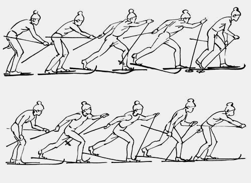 Конспект по физической культуре на тему «Техника перехода от переменного двухшажного хода к одновременным ходам и поворота кругом махом, стоя на лыжах» (8 класс)
