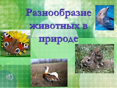 Разработка урока по окружающему миру Разнообразие животного мира (3 класс)