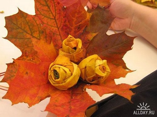 Проектно-исследовательская работа Изучение технологии изготовления роз из кленовых листьев