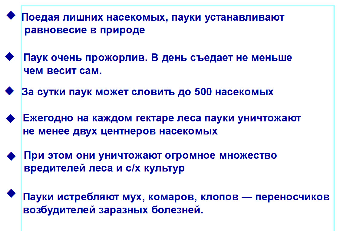 Значение пауков в природе и жизни