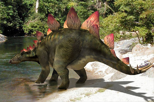 Исследованние животных прошлого -динозавры.