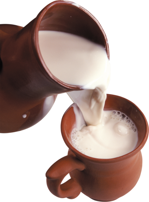 Исследовательский проект на тему Что такое молоко