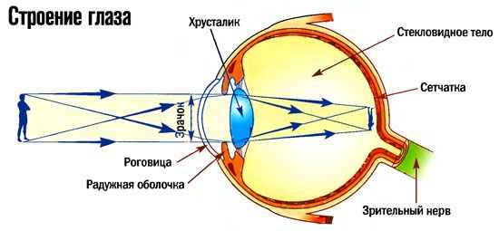 Научно-практическая конференция школьников. Тема: Можно ли доверять своим глазам?