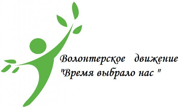 Авторская программа волонтерского студенческого движения