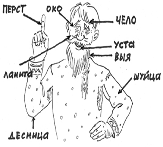 Устаревшая лексика. Устаревшая лексика картинки. Устаревшая лексика части тела. Ланиты персты. Рисунок словами устаревшая лексика.