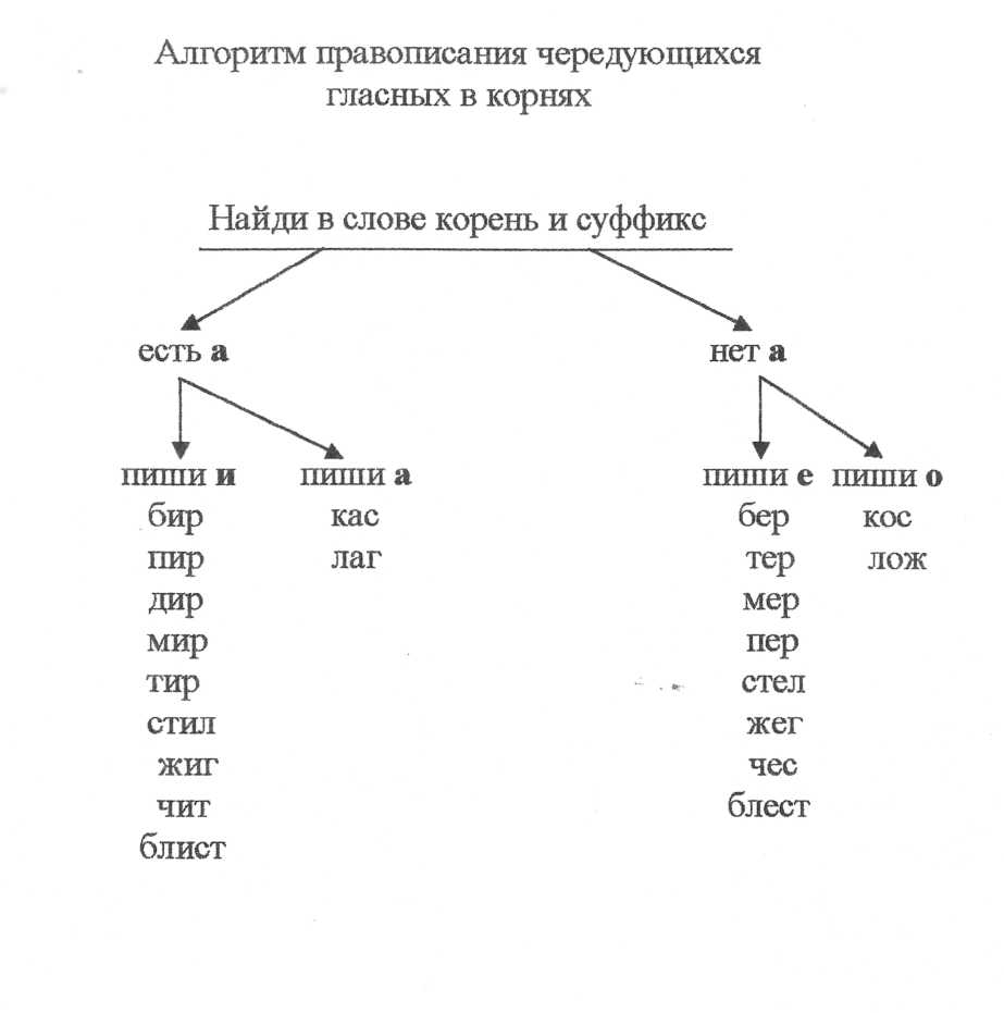 «Освоение алгоритма на уроках русского языка в 5 классе (формирование знаково-символических УУД)»