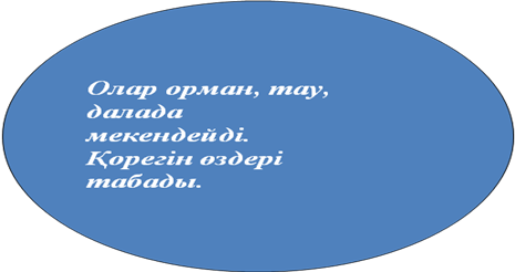 4 сынып «Жануарлар әлемінде»