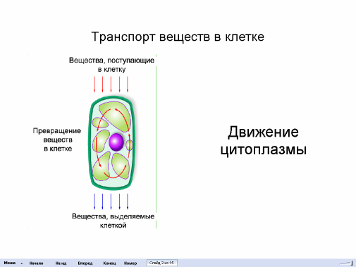 Обобщение опыта работы по теме «Развитие критического мышления на уроках биологии»