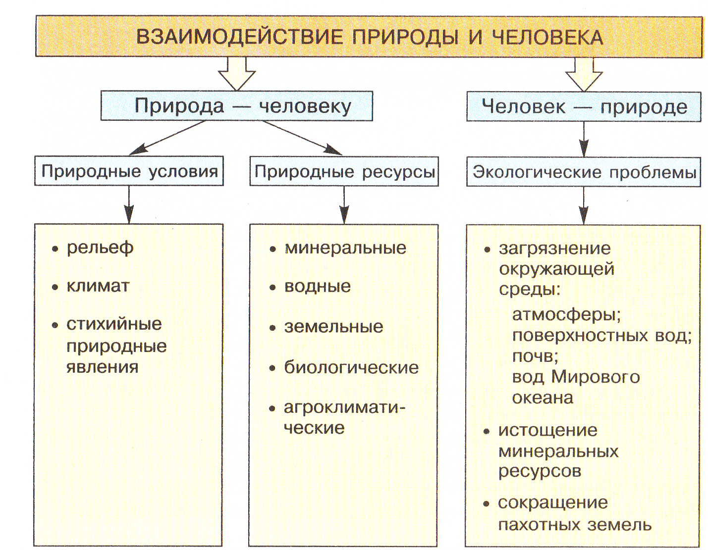 Человек природа взаимосвязь пример