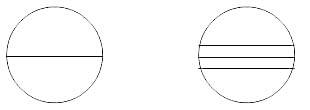 Тема:. Окружность и круг. Радиус и диаметр