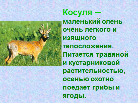 Конспект по математике на тему Сложение и вычитание дробей с одинаковыми знаменателями(5 класс)