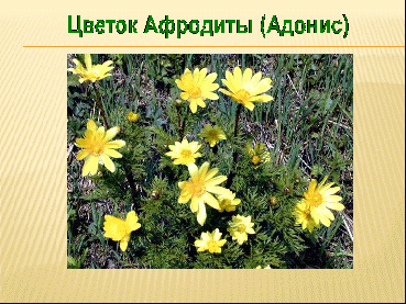 Урок географии 8 класс «Растительный и животный мир своего региона» (Челябинская область)