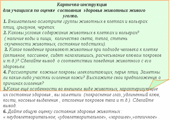 Занятие в зоологическом кружке Болезни птиц и мелких животных