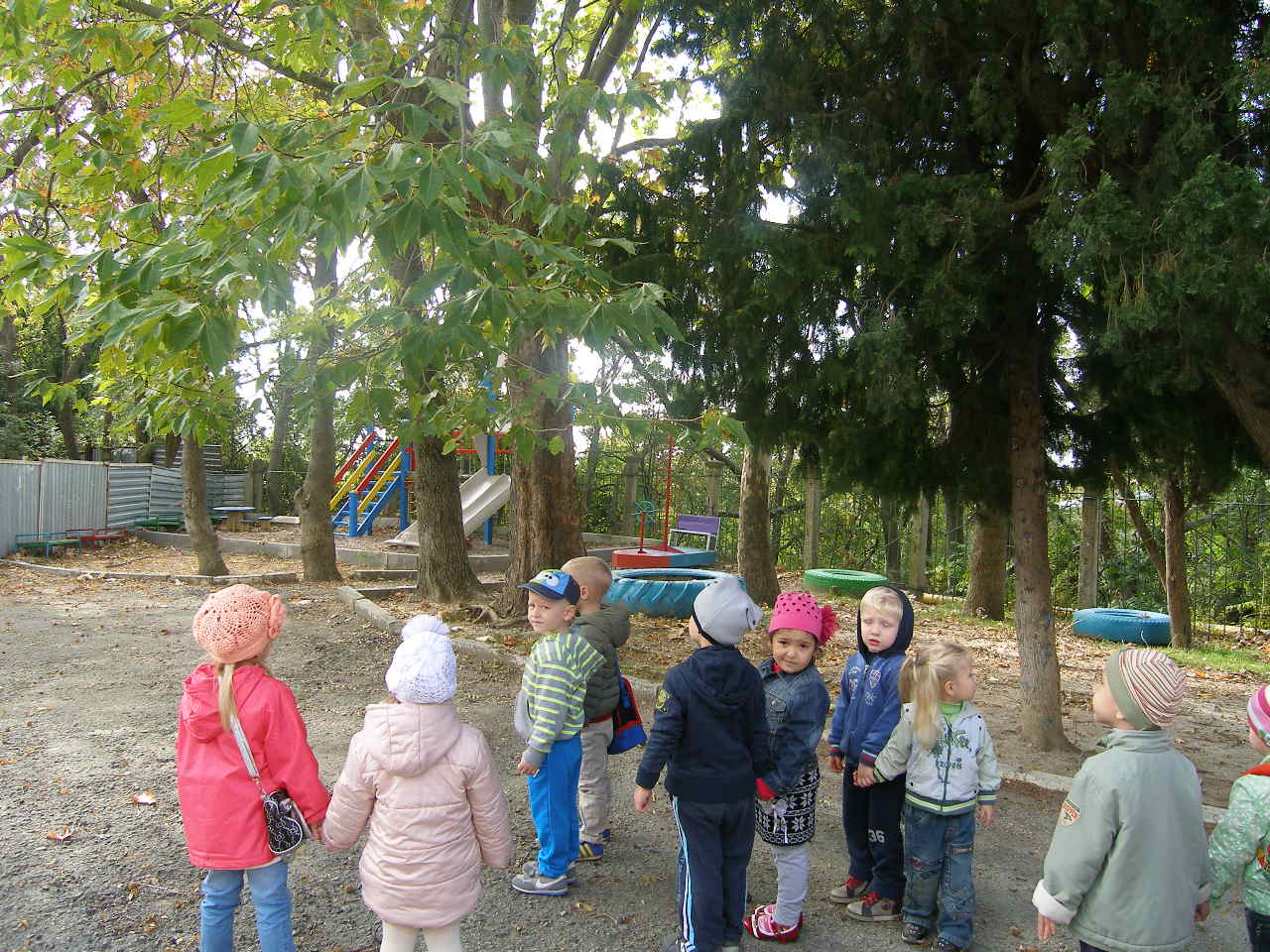 Творческо-исследовательский проект по экологическому воспитанию «Что нам осень подарила?» для младшей группы детского сада