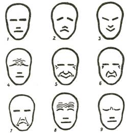 Урок изобразительного искусства по теме Конструкция головы человека и ее пропорции (6 класс)