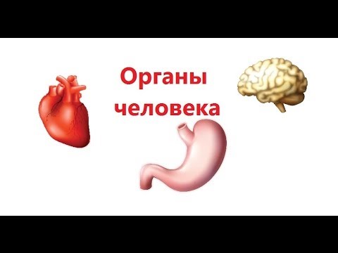 Открытый урок на тему Судың маңызы және оны қорғау