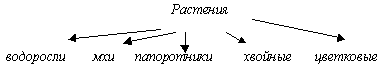 Урок по познанию мира на тему Среда обитания растений