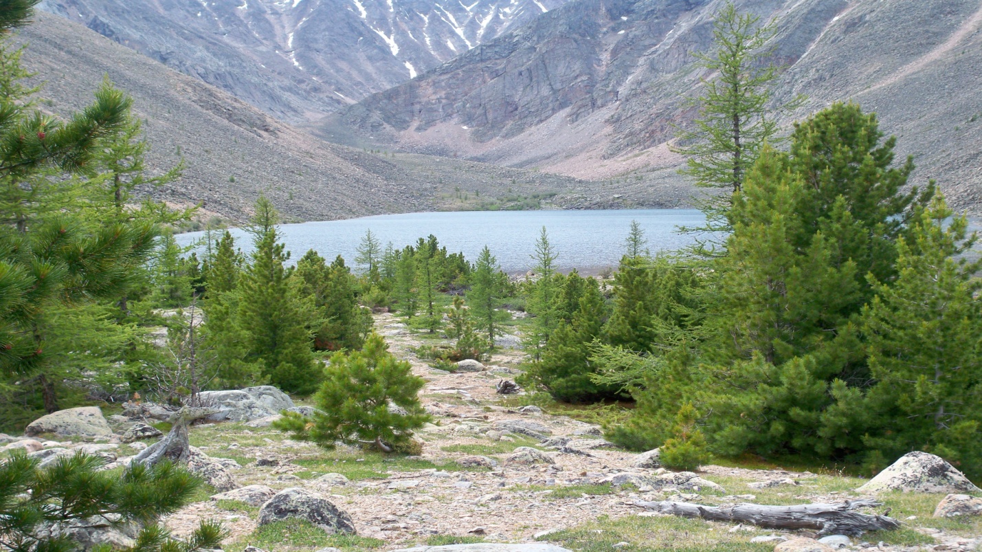 Демдек ады, кичээлдин планы,10 класс