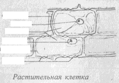 КОС по БИОЛОГИИ (контрольно-оценочные средства)