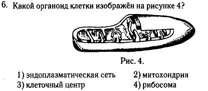 КОС по БИОЛОГИИ (контрольно-оценочные средства)