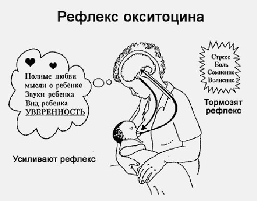 Учебное пособие на тему Здоровый ребенок