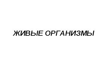 Конспект урока по биологии на тему Химический состав клеток (5 класс)