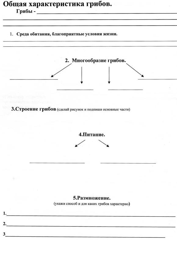 Конспект урока Царство грибов 5 класс ФГОС