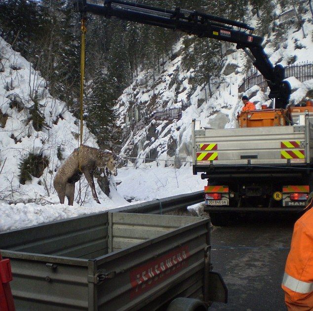 Подвиги детей Патриотическое воспитание