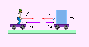 Конспект по физике на тему Динамометр. Сложение сил, действующих вдоль одной прямой (7 класс)