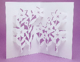 Работа на бумаге киригами