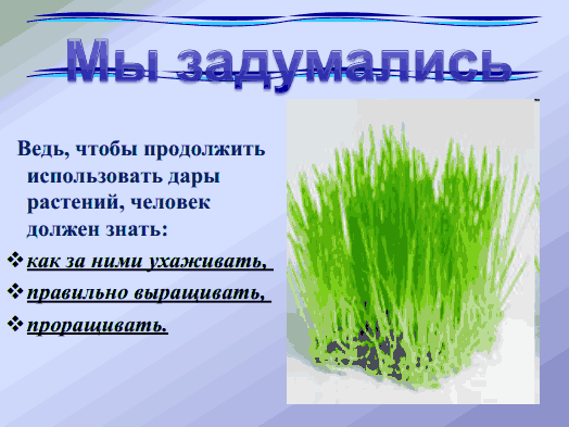 Конспект урока по цветоводству для 7 класса специальной (коррекционной) школы VIII вида по теме: «Условия получения равномерных всходов»