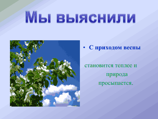 Конспект урока по цветоводству для 7 класса специальной (коррекционной) школы VIII вида по теме: «Условия получения равномерных всходов»