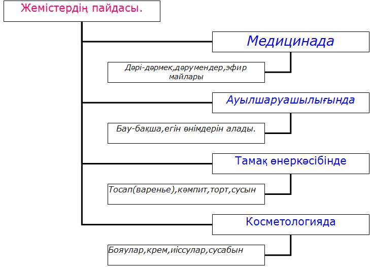 Жемістердің түзілуі, өсімдіктердің тұқым арқылы көбеюі және таралуы. Жемістің түрлері