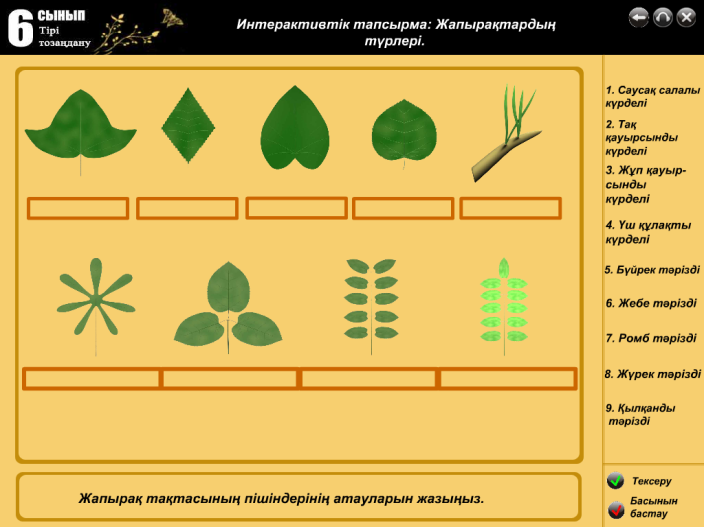 6 класс биология Өсімдіктер