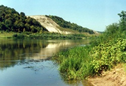 Проект Экология бассейна реки Дон