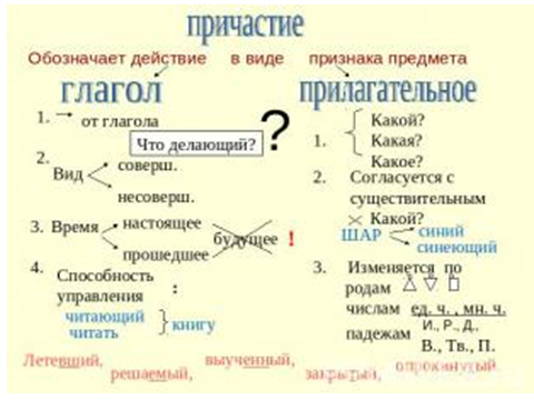 Конспект консультации по подготовке к ЕНТ по русскому языку на тему Причастие (11 класс)