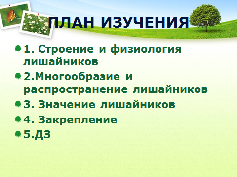 Технологическая карта открытого урока биологии по теме Лишайники