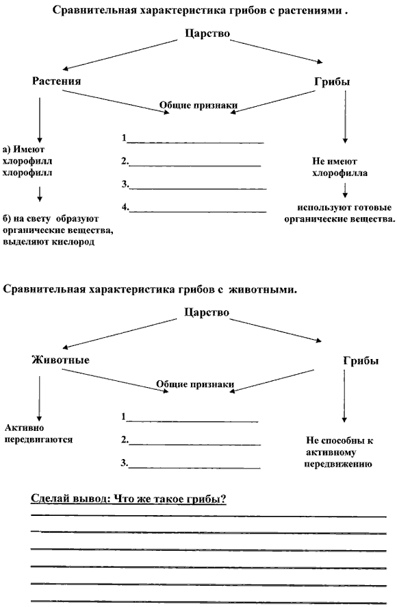 Технологическая карта урока биологии в 5 классе по теме Грибы