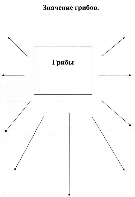 Технологическая карта урока биологии в 5 классе по теме Грибы