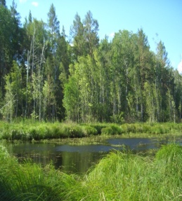 Внеклассное мероприятие День туризма