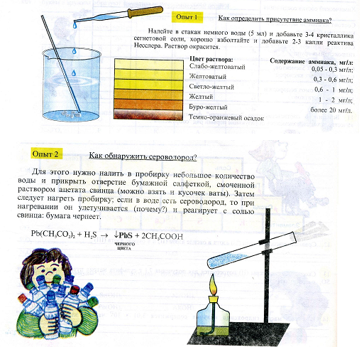 Авторская программа факультативного курса Сотвори себя сам