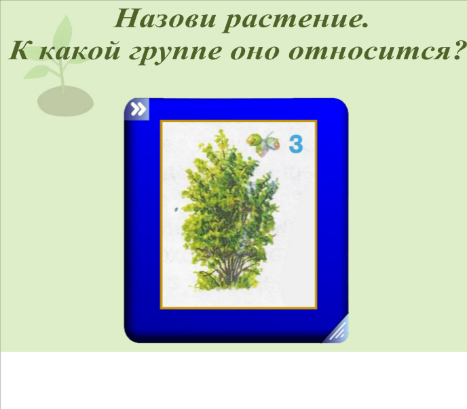 Модель урока + презентация к интерактивной доске на тему Какие бывают растения (2 класс)