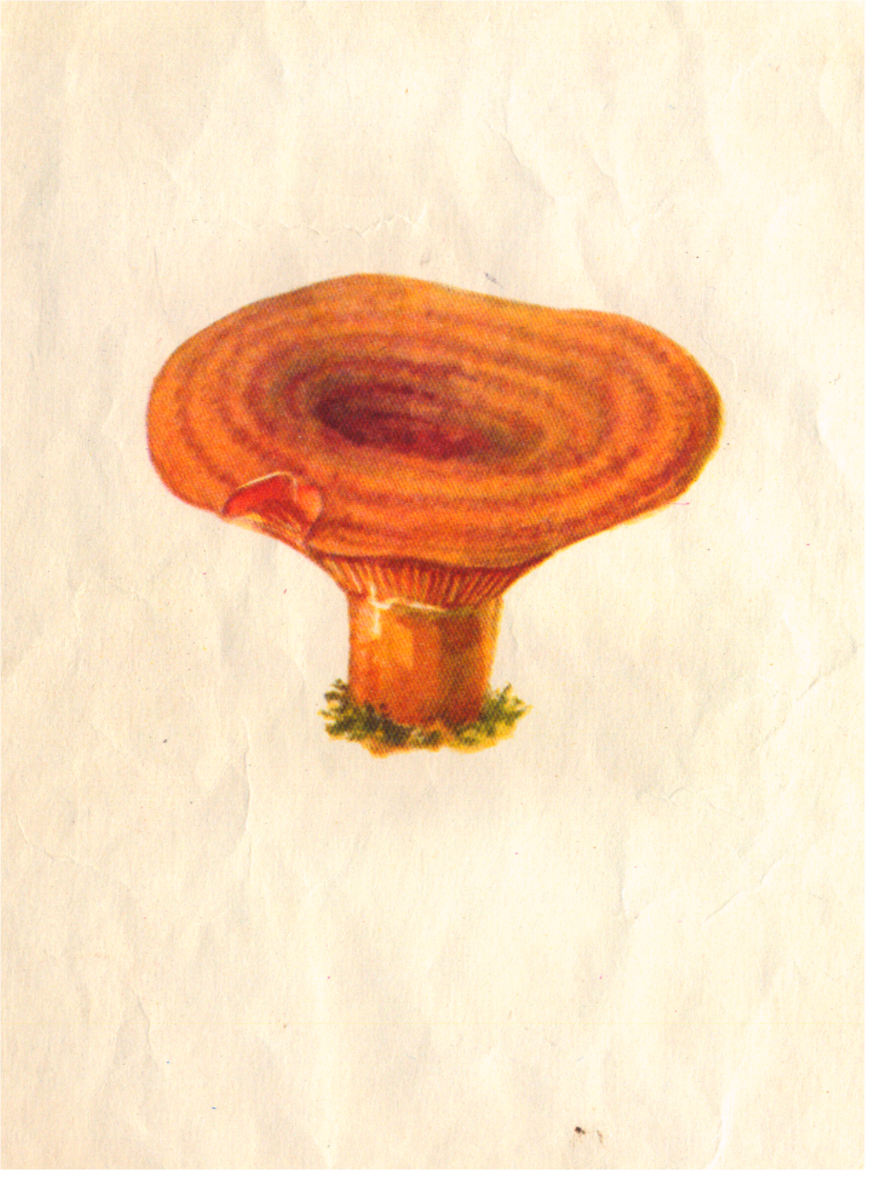 Маска гриб Рыжик