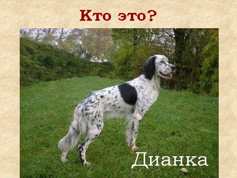 Конспект урока литературы в 6- А классе И.С. Тургенев. Цикл рассказов «Записки охотника». Роль пейзажных зарисовок в рассказе «Бежин луг».