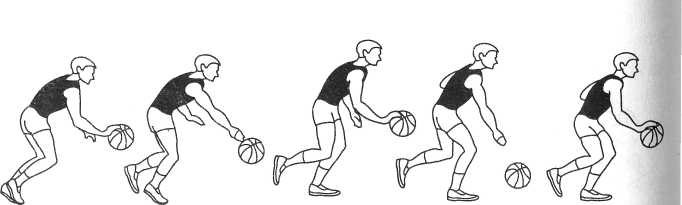 План секции по баскетболу Ведение мяча с изменением направления движения