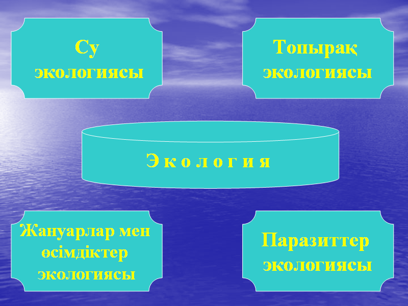 Тірі ағзалардың қоршаған орта жағдайларына бейімделуі презентация