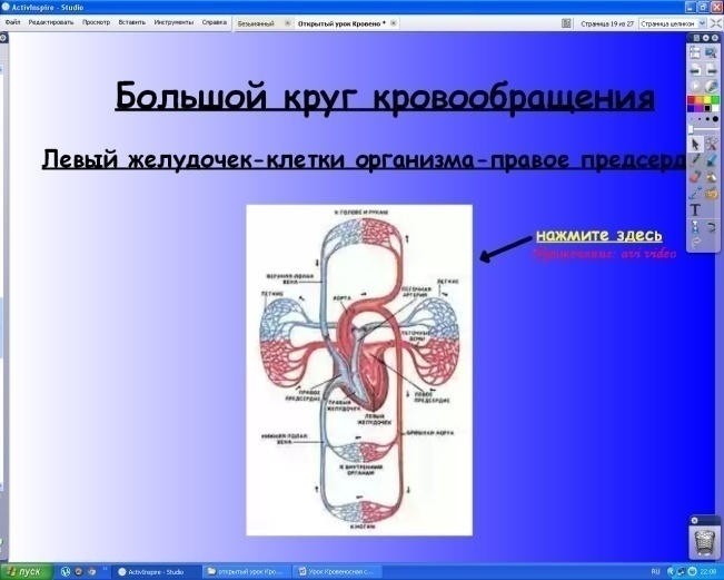 Конспект урока по биологии Большой и малый круги кровообращения (8 класс).