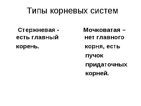 Конспект урока биологии на тему «Корни растений»