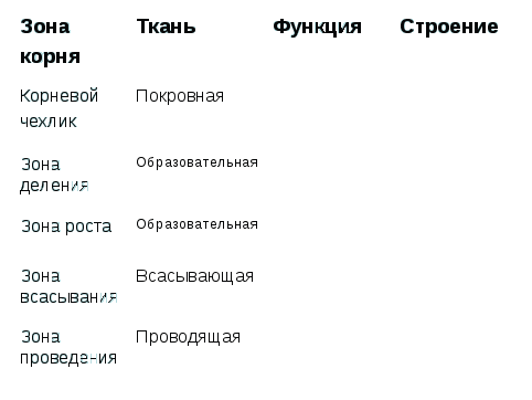 Конспект урока биологии на тему «Корни растений»